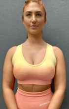 Load image into Gallery viewer, FRUIT SALAD ombre sports bra